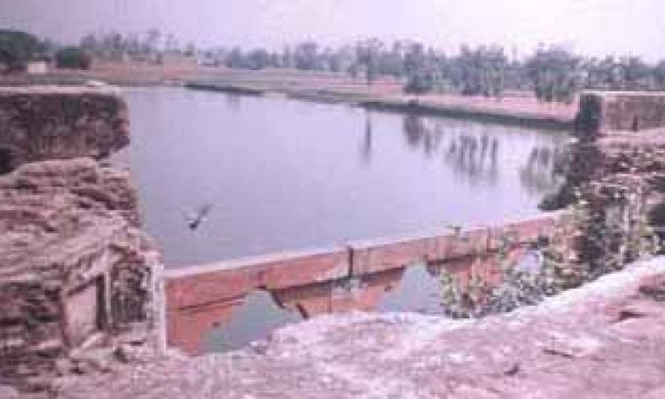 pond construction