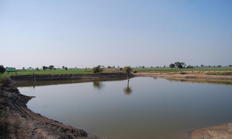 water management