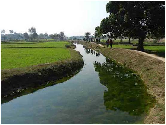 Ahar pynes: Traditional flood harvesting systems of South Bihar| India  Water Portal