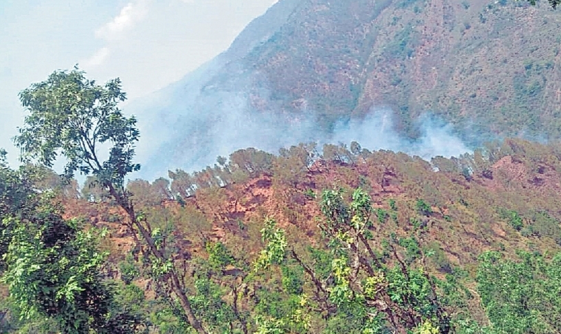 दन्या क्षेत्र में सकुनिया के जंगल आग से धधकती हुई 
