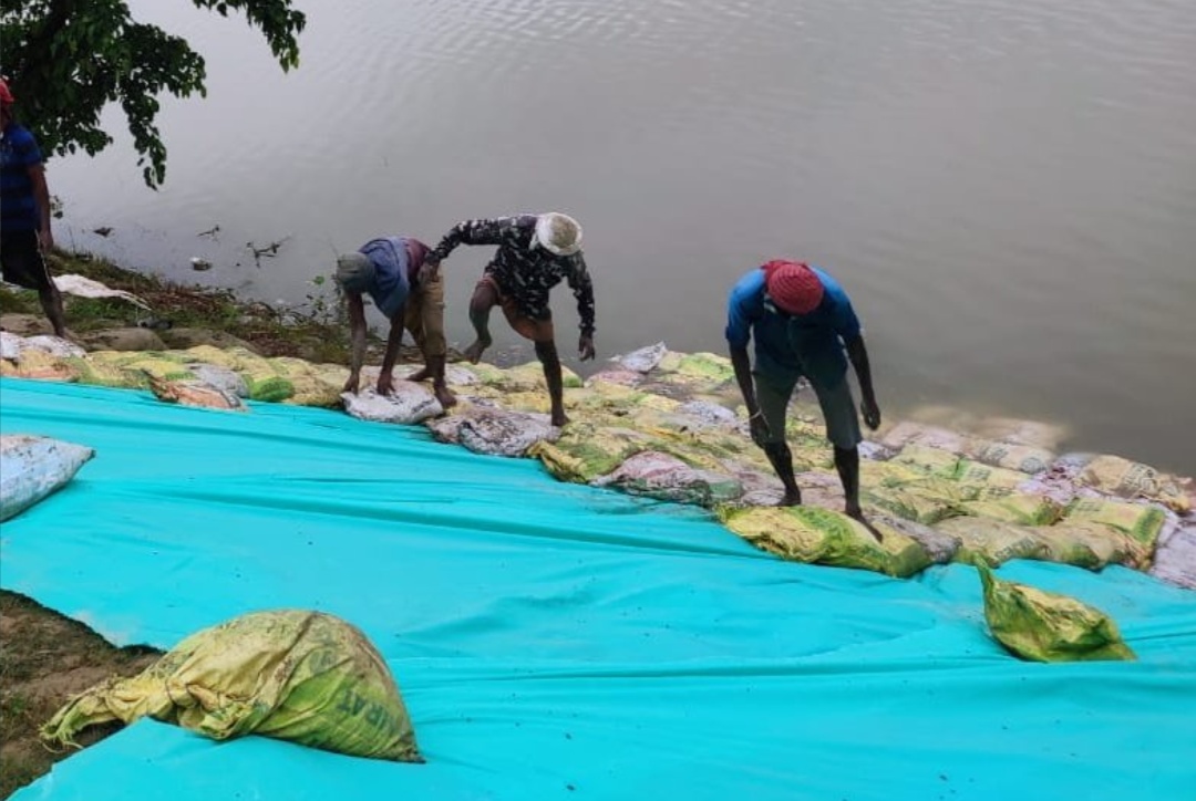झंझारपुर में कमला बालान नदी के तटबंध का मरम्मत कार्य, फोटो : ट्विटर