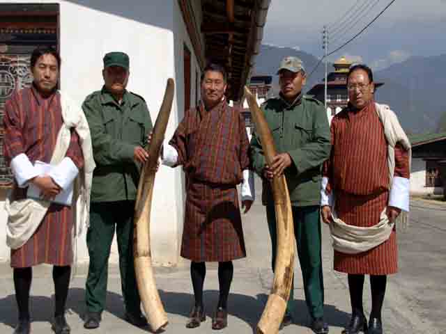 मनास राष्ट्रीय उद्यान के भूटान वाले हिस्से में भी अवैध शिकारियों पर कसी जा रही है नकेल