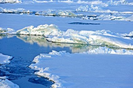 आर्कटिक सागर के बर्फ अब पिघल रहे हैं