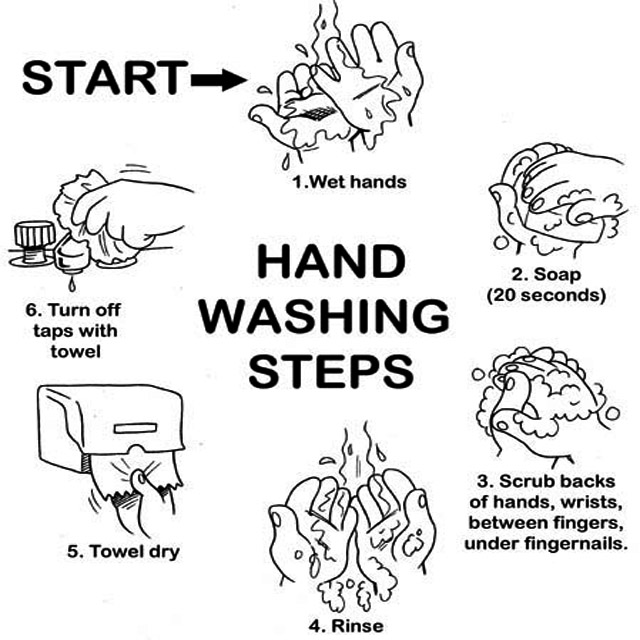 हाथों को साफ रखें और बीमारियों से बचें