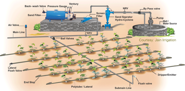 Drip irrigation illustration (Image Source: Wikimedia Commons)