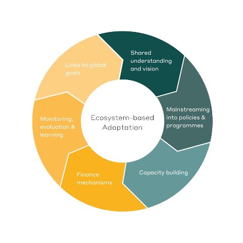 EbA approach (Image Source: WOTR)