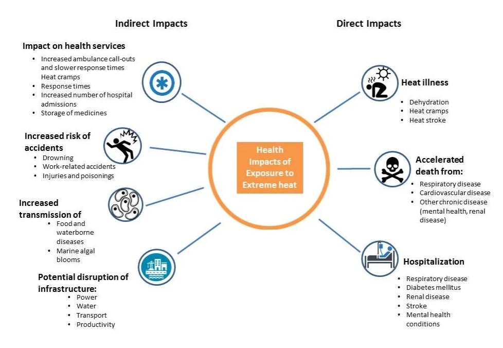 Direct and indirect impacts of heat on health (Image Source: WHO Heat and Health factsheets)