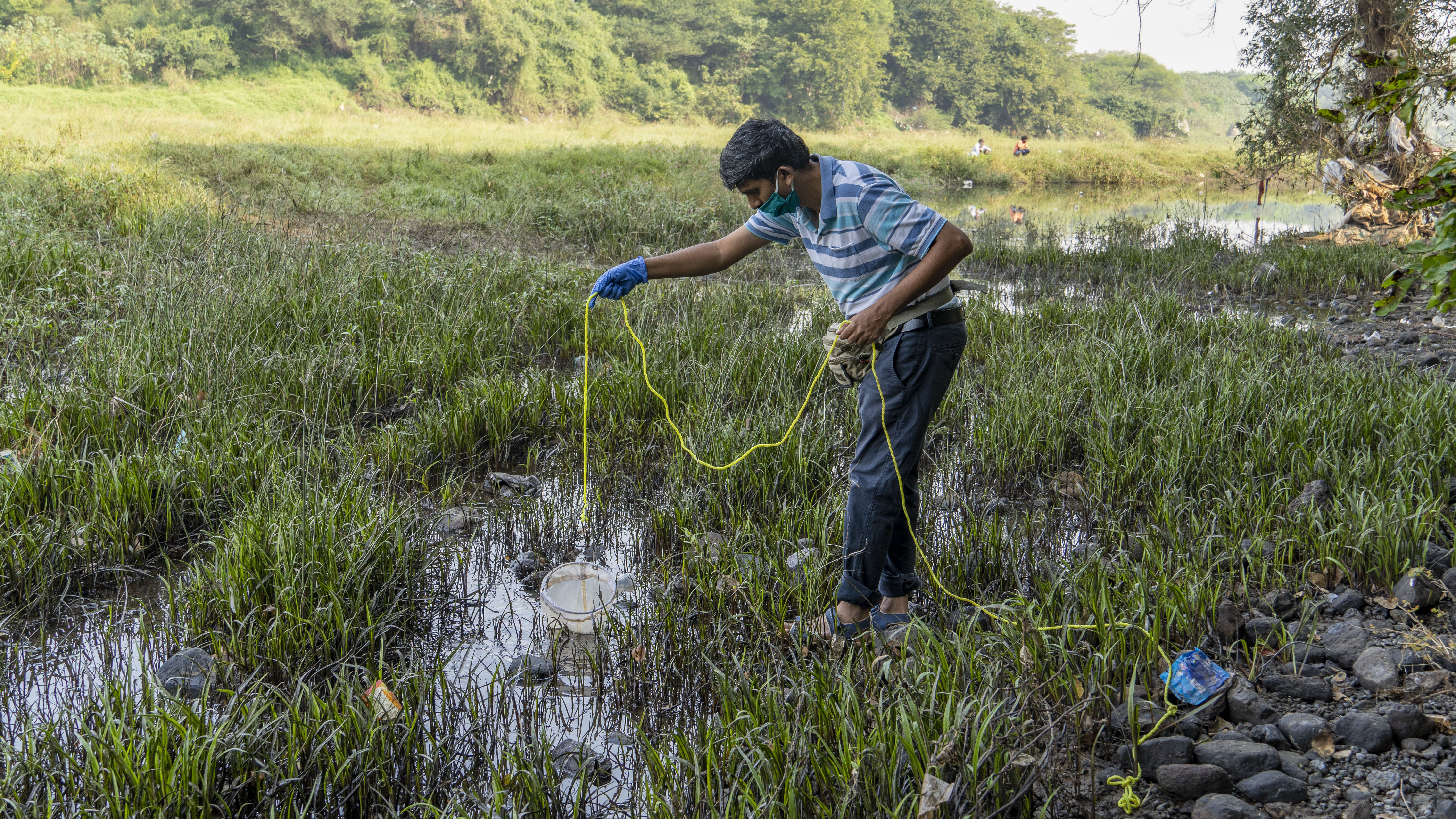 Collection of samples for the study (Image Source: Jeevitnadi)