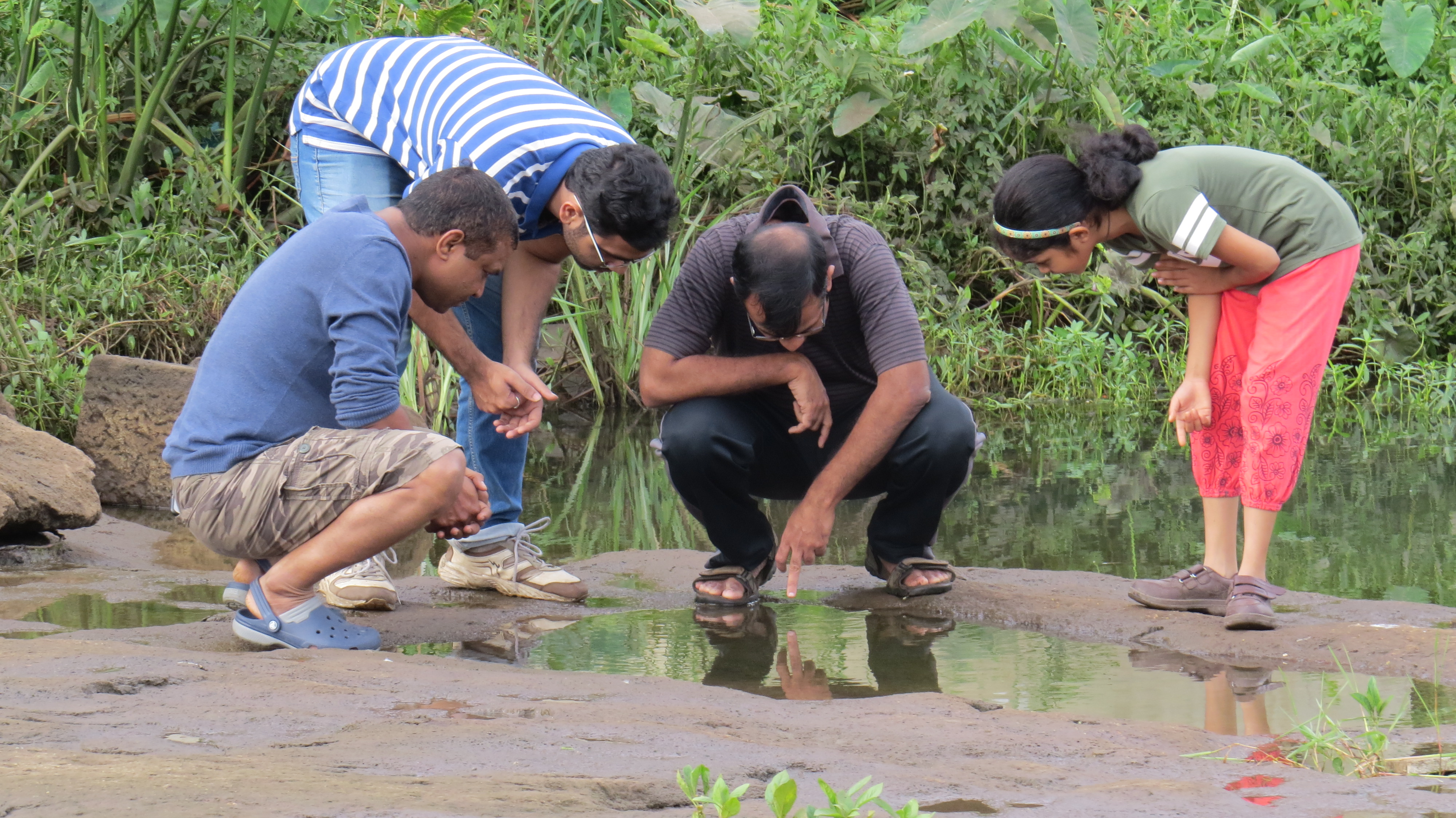 Identification of rock pool sites for sampling at the Vitthalwadi stretch of the Mutha river (Image Source: Jeevitnadi)