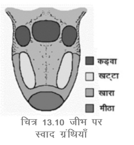 चित्र-3