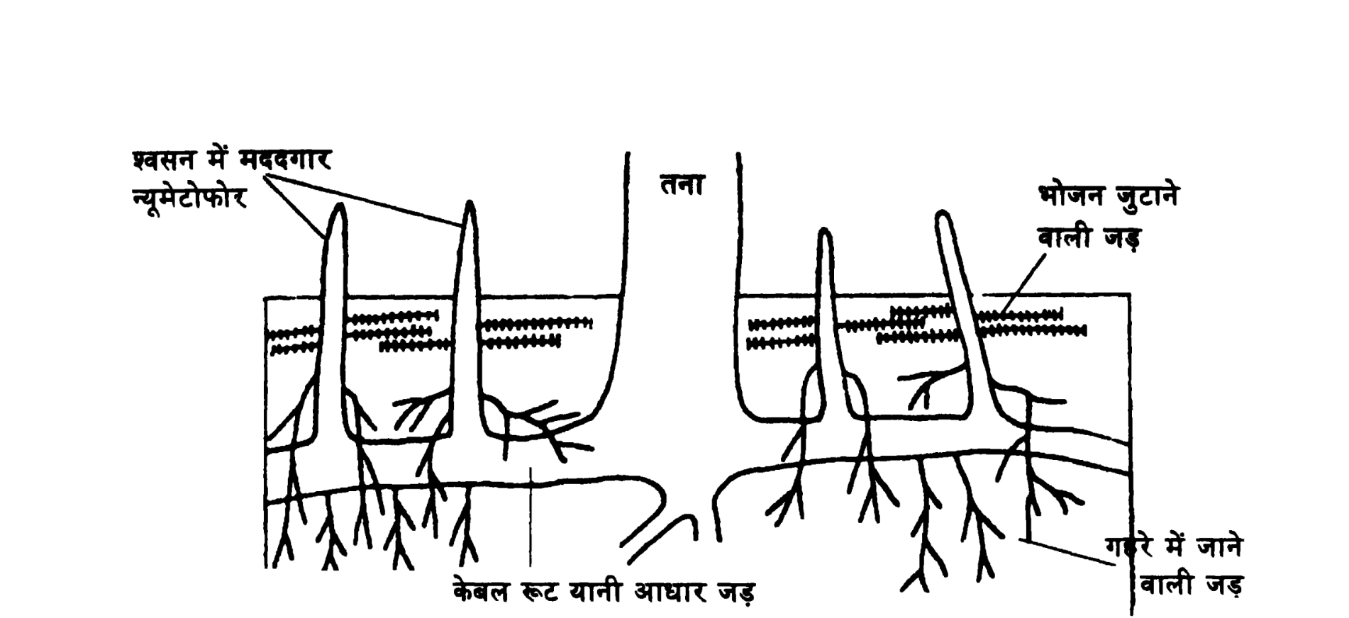 चित्र -4