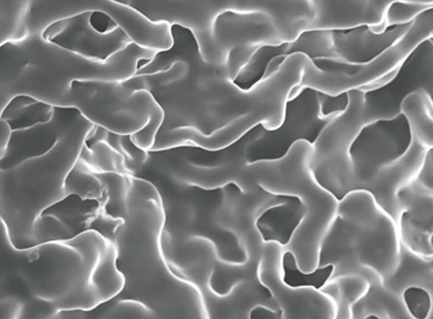 चित्र 2 : वाह्य कोशिकीय बहुलक पदार्थ (ई.पी.एस.) की स्कैनिंग इलेक्ट्रॉन माइक्रोस्कोपी (एस.ई. एम. ) प्रतिकृति ।