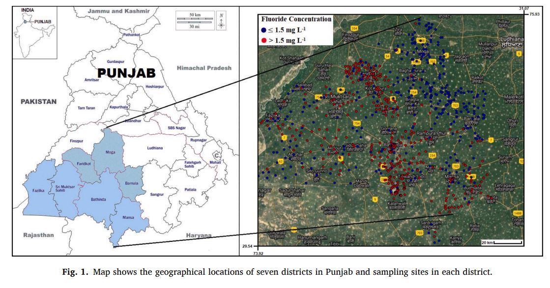 Duggal, V., Sharma, S (2022) Fluoride contamination in drinking water and associated health risk assessment in the Malwa Belt of Punjab, India. Enviromental Advances, 8 (2022) 100242