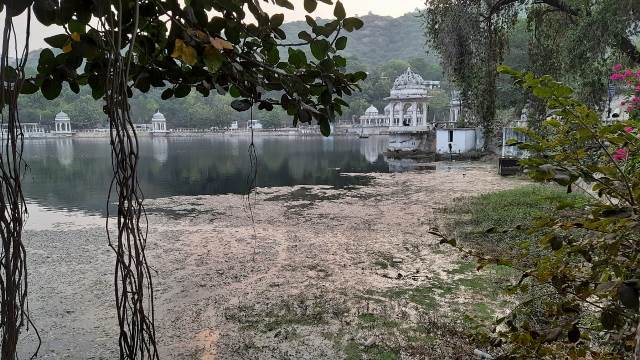 Algal bloom in a lake in Udaipur (Image Source: Rituja Mitra)