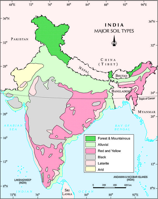 Soil map of India (Image Source: Wikimedia Commons)