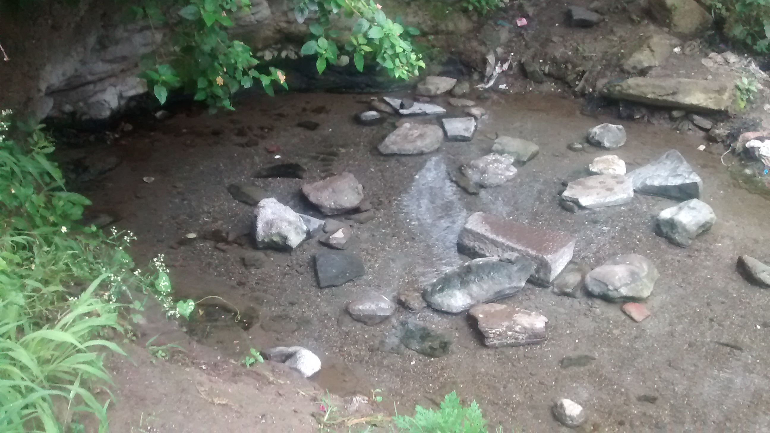 A view of the spring at Bavdhan (Image Source: Tushar Sarode)