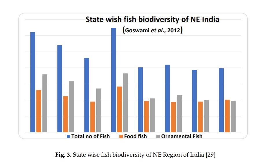 Fish graph