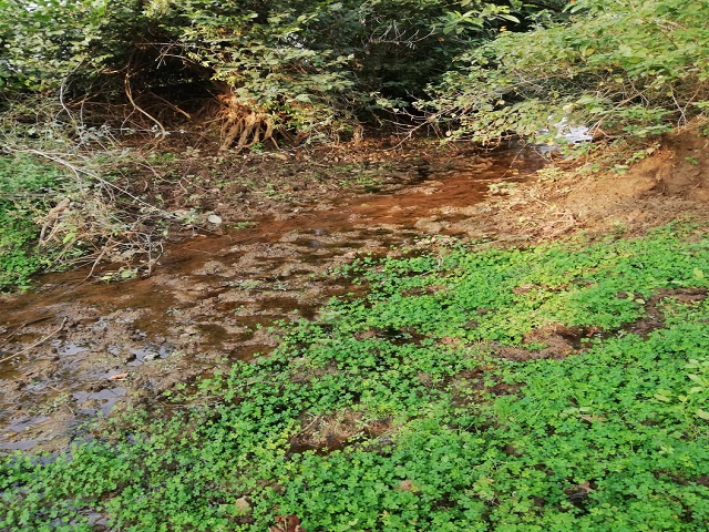 River Kanari polluted at the source (Image Source: Ayushi Trivedi)