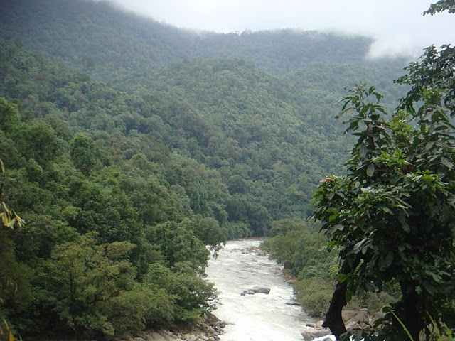 Free flowing stretch of a river Tunga in Western Ghats 