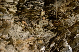 Rock Strata below the ground influences water storage and transmission