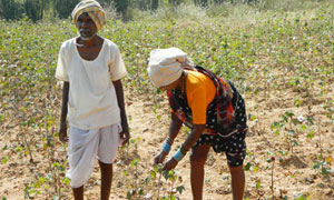 Farmers in Jangaon administrative block have been given no relief despite crop failures and scanty rains because of the skewed criteria used by authorities