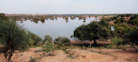 Administration has revived a man-made pond in Nagarda village that was drying up (Photo: Sayantoni Palchoudhuri)