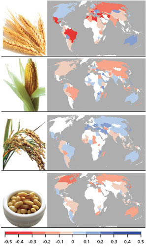 Estimated impact of climate change on crop production during 1980-2008. Negative values indicate climate change reduced yields