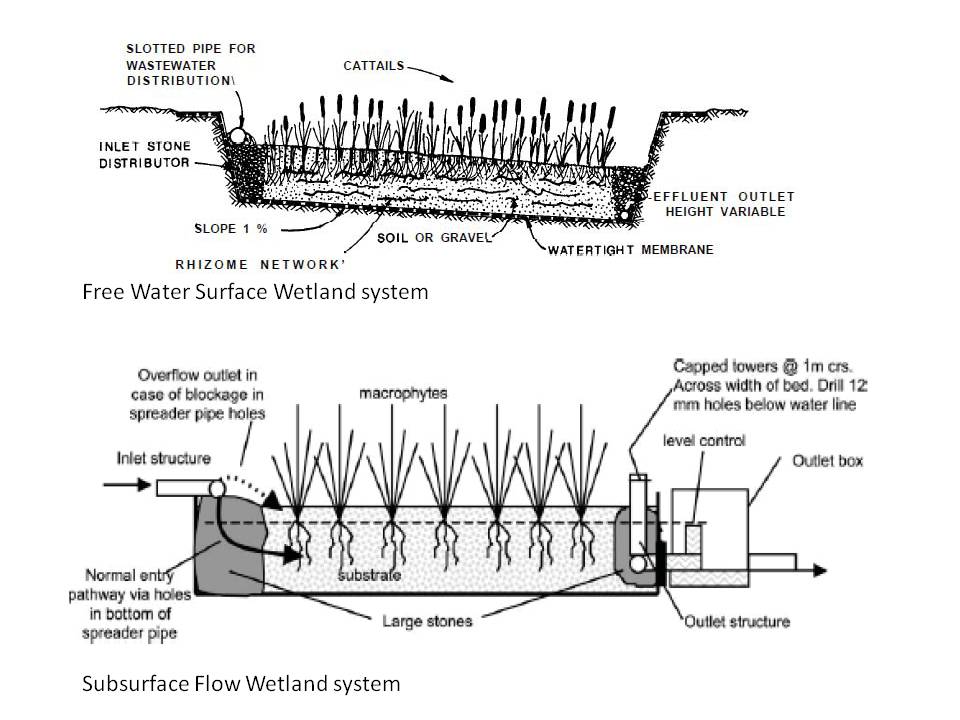 Cross-sections of constructed wetlands