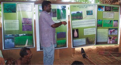 Farmers groups conserve traditional rice varieties in Bastar region of Chhattisgarh 