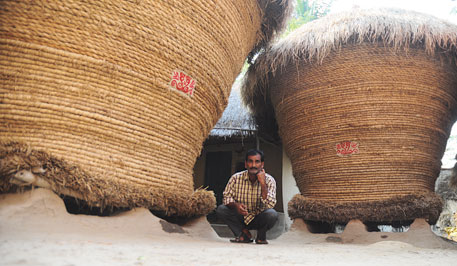 Uttam Majumdar is unable to sell his 330,000 kg of paddy. He is under pressure from moneylenders from whom he had borrowed over `1 lakh at an interest rate of 60% a year