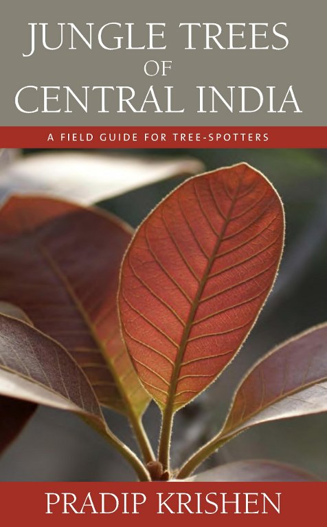 /sites/default/files/iwp/Jungle Trees of Central India - Pradip Krishen - Cover