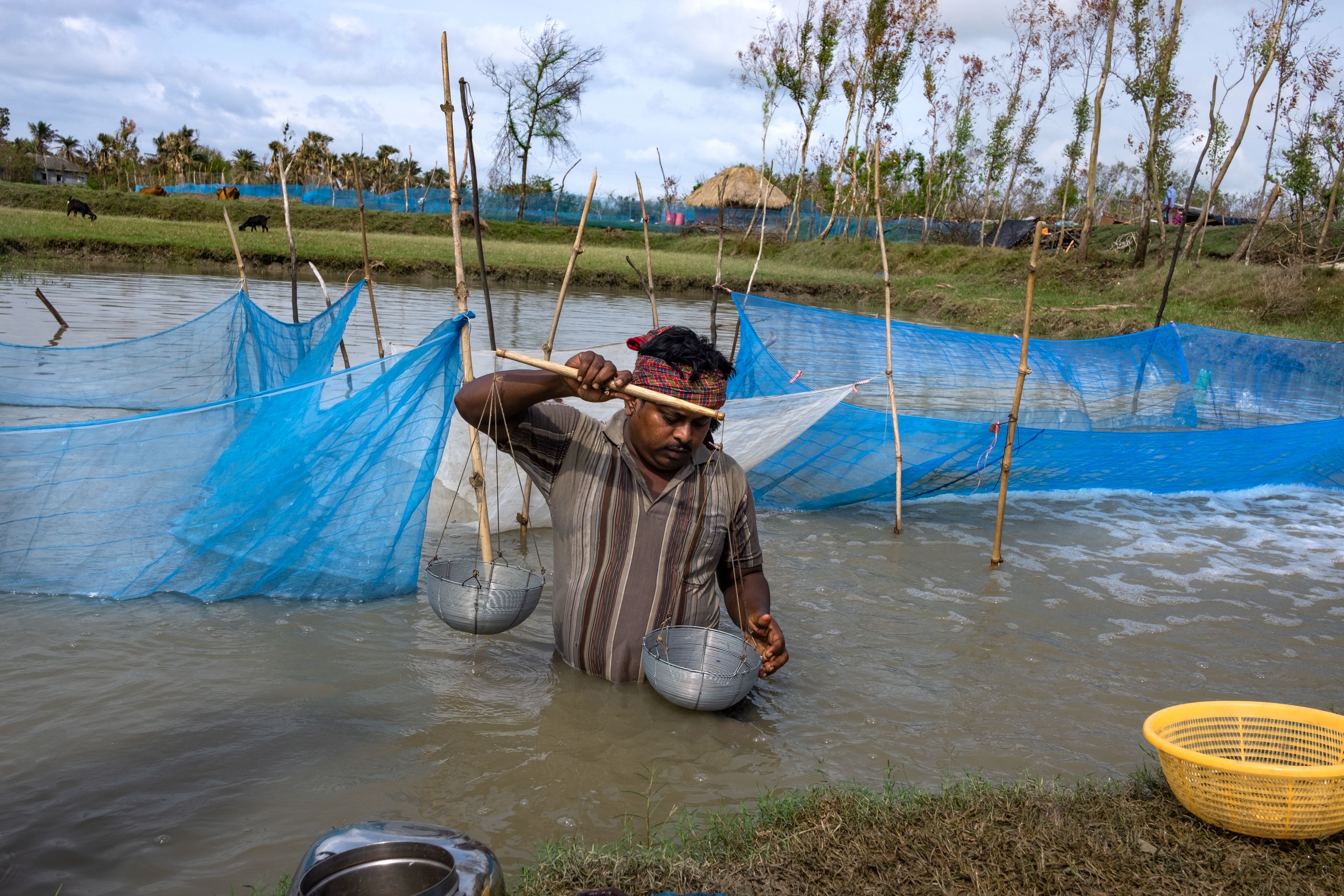 However, this occupation has suffered terribly due to the cyclone. (Image: WaterAid, Subhrajit Sen)