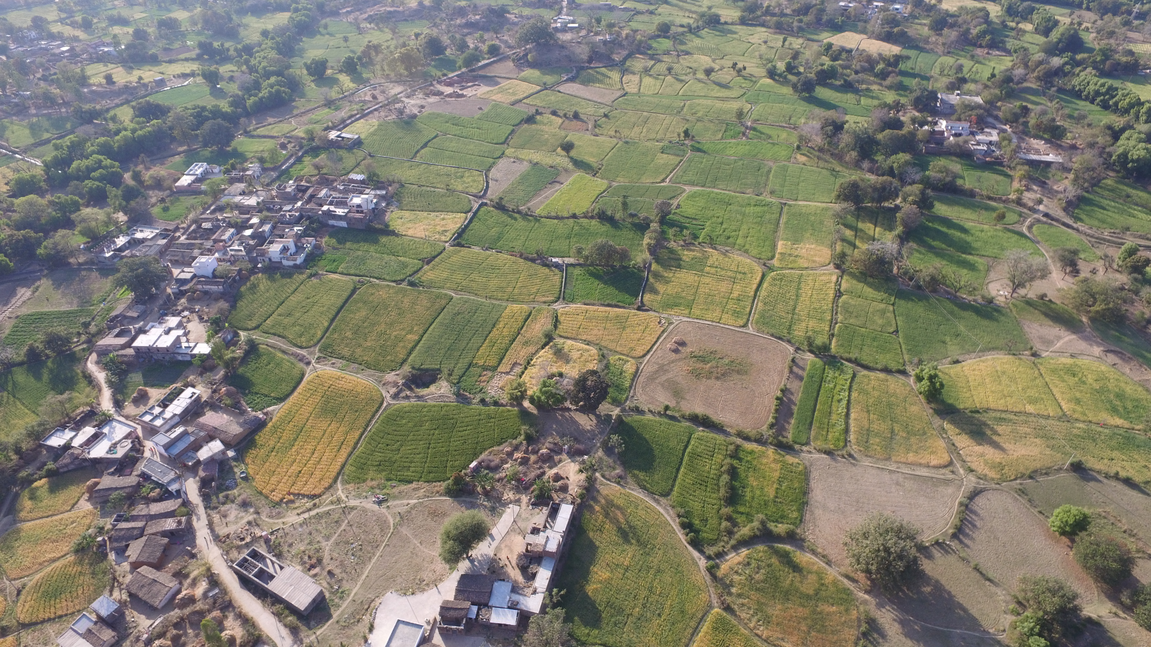 A view of the agricultural fields in Kumbharwadi village, post watershed development (Image: WOTR)
