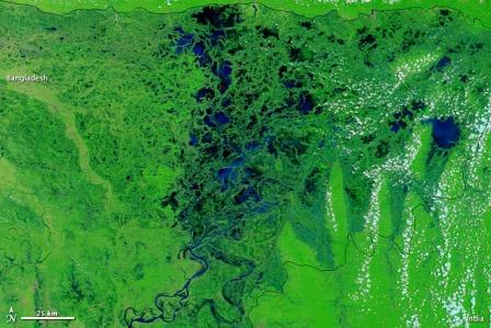 Summer monsoon transforms northeastern Bangladesh - Updates from NASA Earth Observatory