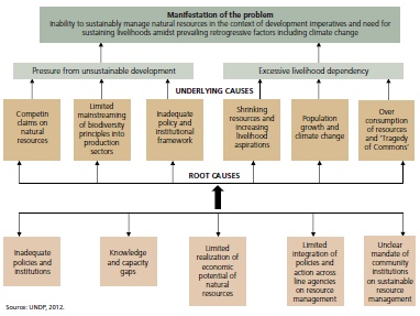 challenges of biodiversity governance. For readable version, please refer to chapter 8