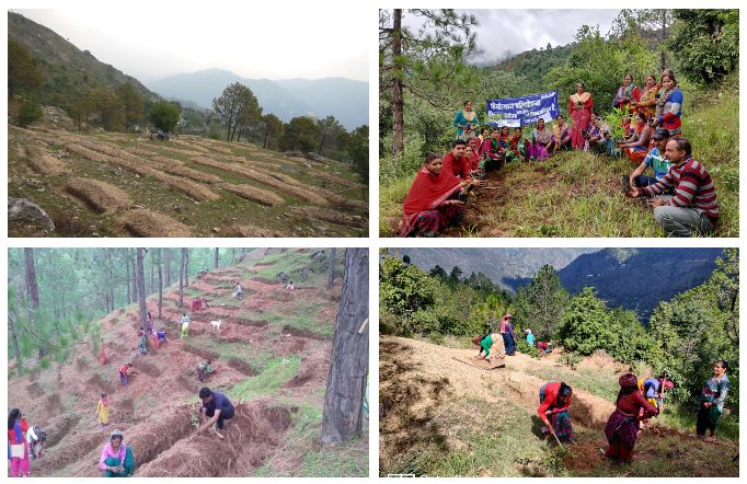 Recharge areas need to be taken up for watershed works such as forestation, soil and water conservation techniques like bunds, trenches and ponds (Image: Himmotthan Society)