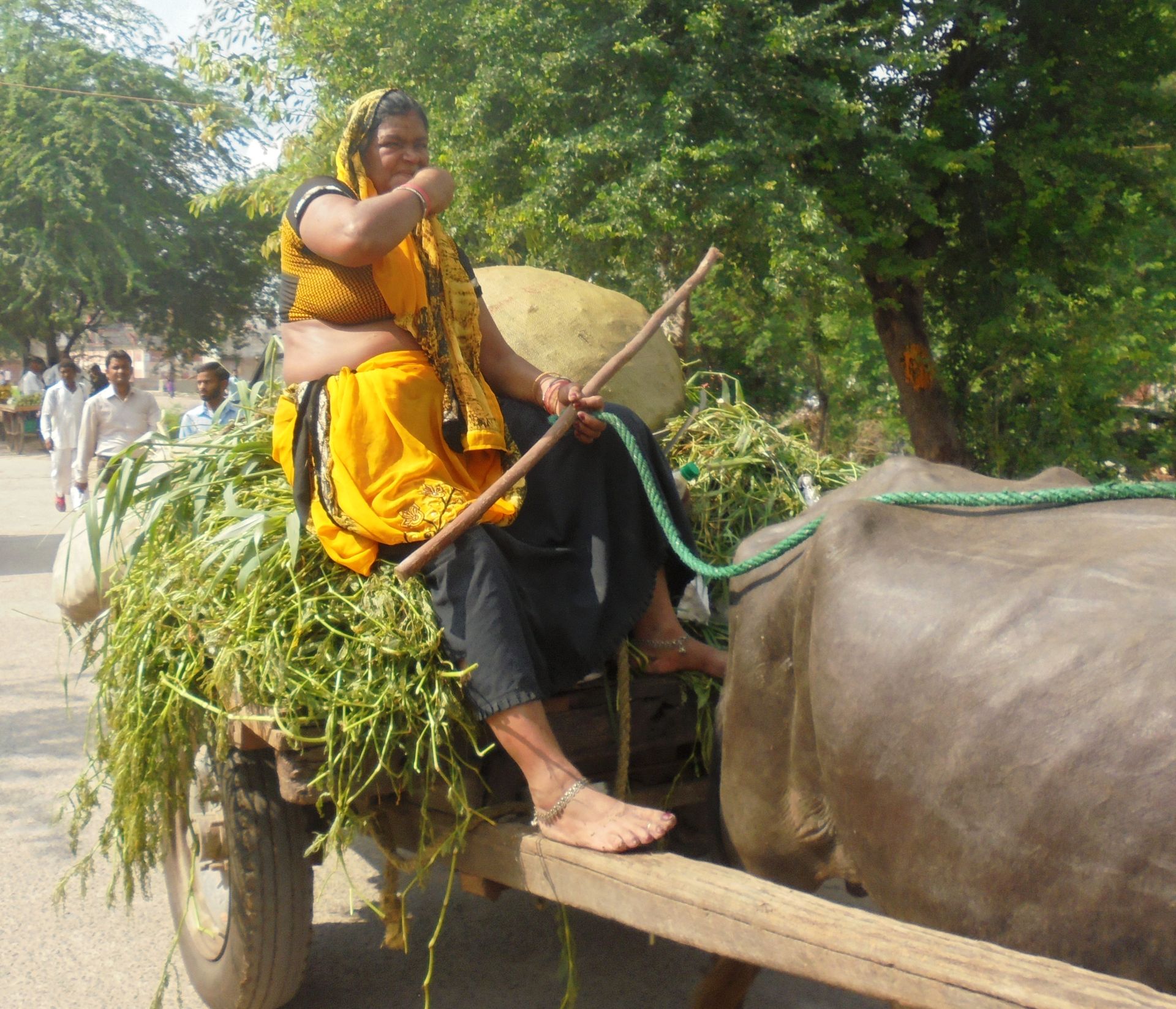 A farmer in Madanpur Khadar carries her produce to the market.