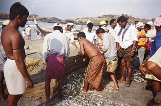 Fishermen sorting their catch for the day