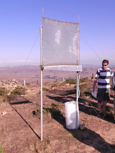 Water gets collected from a fog harvesting structure.