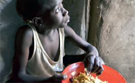 Millions of children suffer the irreversible effects of under nutrition.