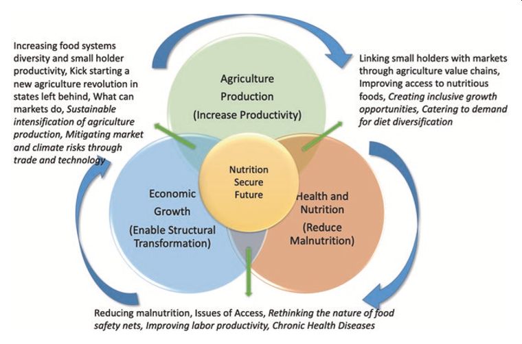 Figure: The multi-sectoral approach for food system transformation