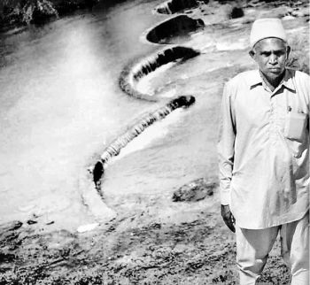 Easy replicability: Bhanjibhai Mathukiya, Gujarat farmer standing in front of his checkdam.