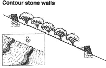 Contour Stone Walls
