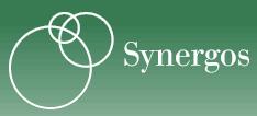 Synergos Institute