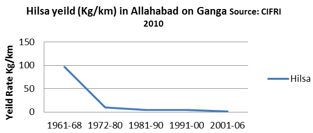 Impact of dams on migration of Hilsa 