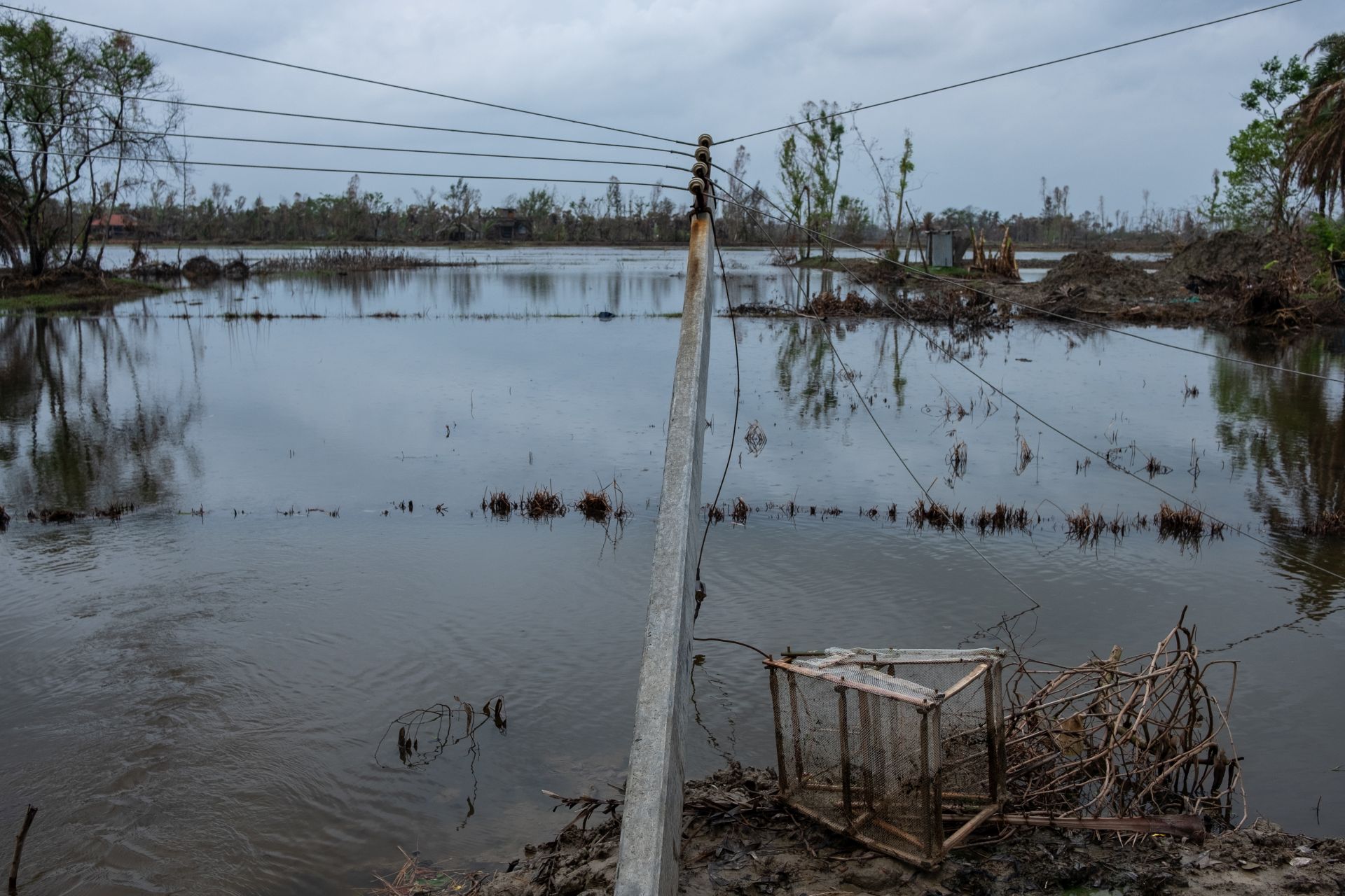 Brackish water has entered farms and destroyed standing crops and rendered lands barren. Cyclone warnings helped farmers to only harvest 60 percent of their standing crops. All other crops were washed away. (Image: WaterAid/ Subhrajit Sen)