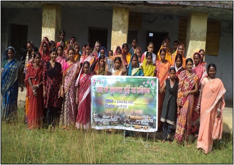 A lac Cooperative in Jharkhand helps locals make lac farming a profitable livelihood