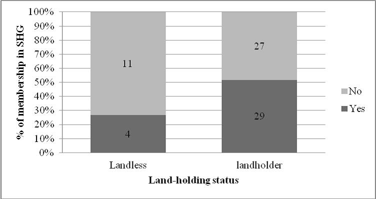A bar chart illustrating level of participation in SHGs against landholding status
