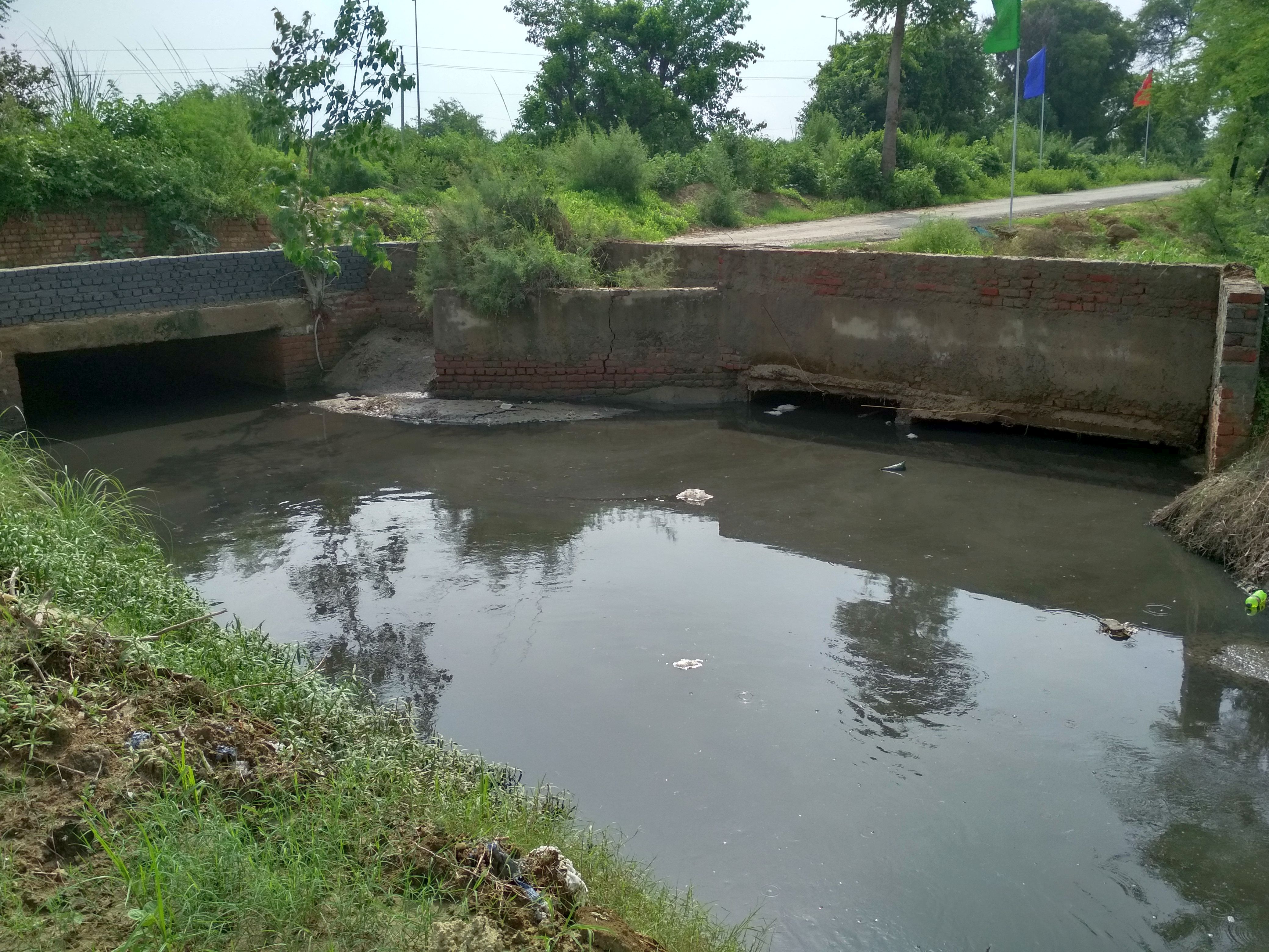 Effluents come out of the wastewater drains from the industrial estate. (Image: India Water Portal)