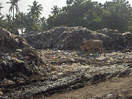 Dumping in rural areas